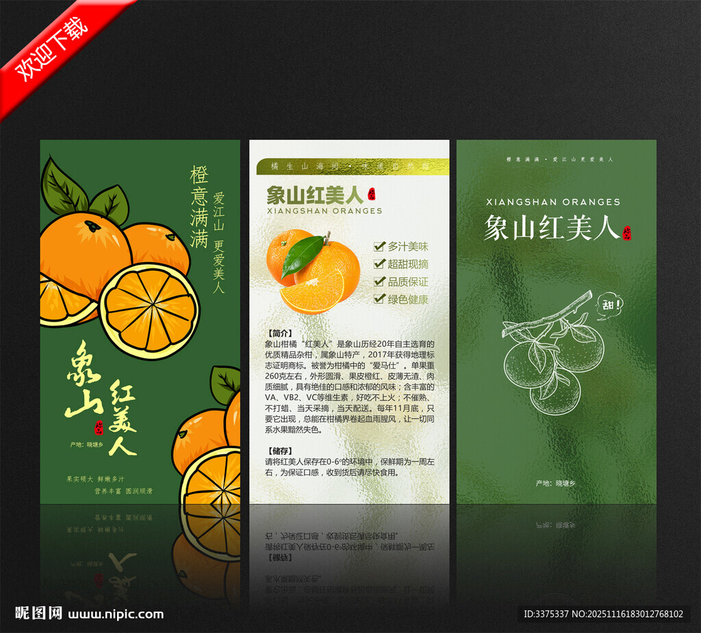  红美人爱媛橙子