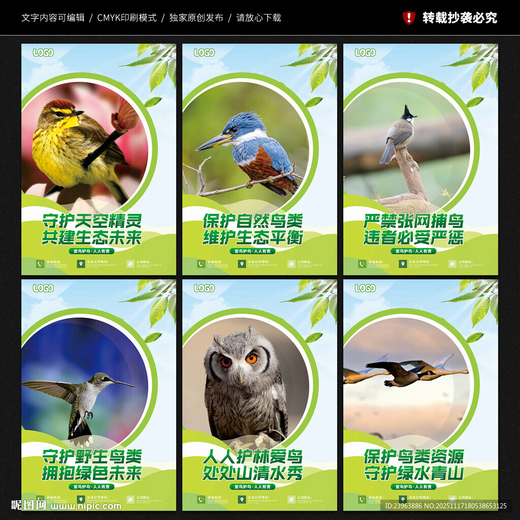 保护鸟类展板
