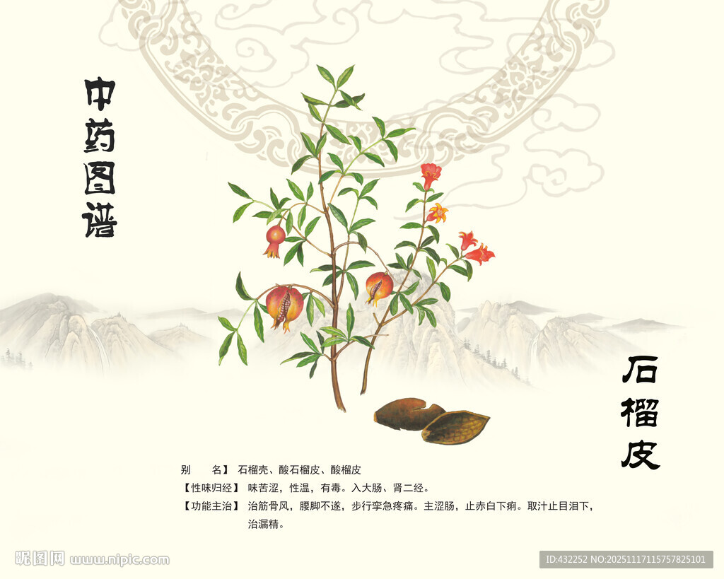 石榴皮中药材石榴皮