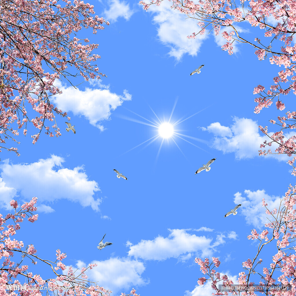 春日蓝天繁花飞鸟美景