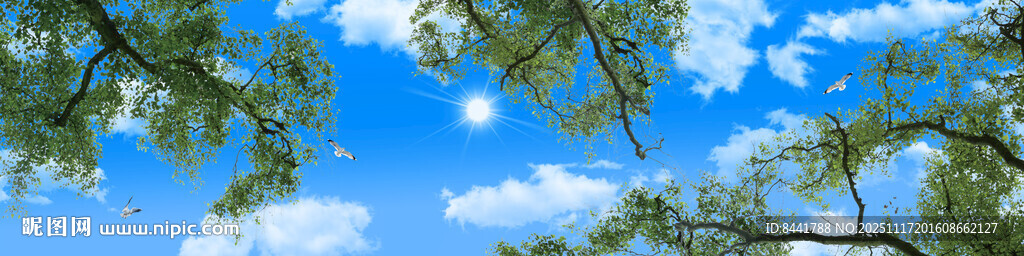 仰视蓝天白云树枝