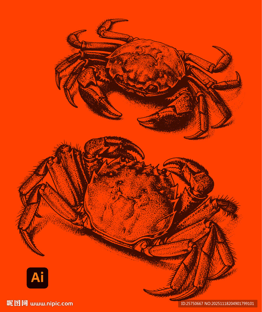 大闸蟹插画