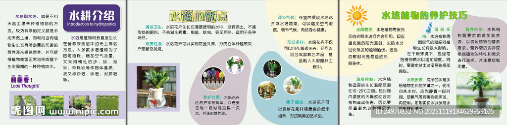 植物科普展板展示