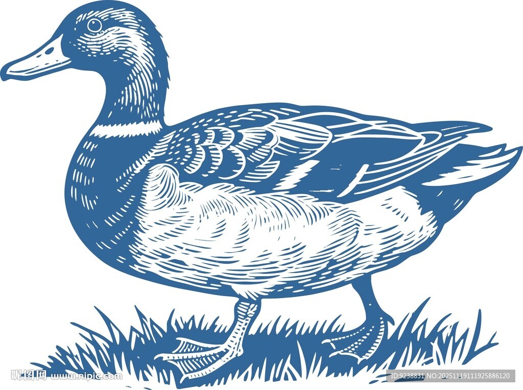鸭子图案