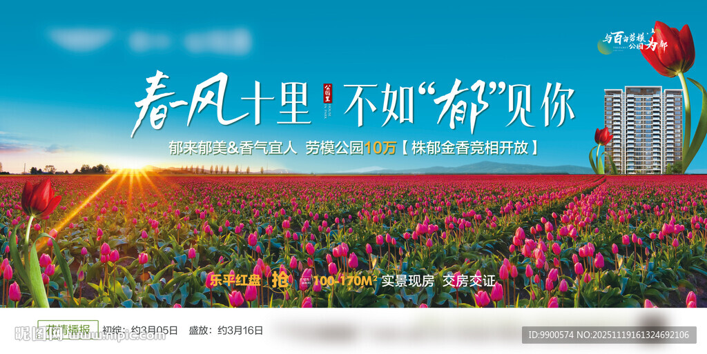 遇见田野间的绚烂花海