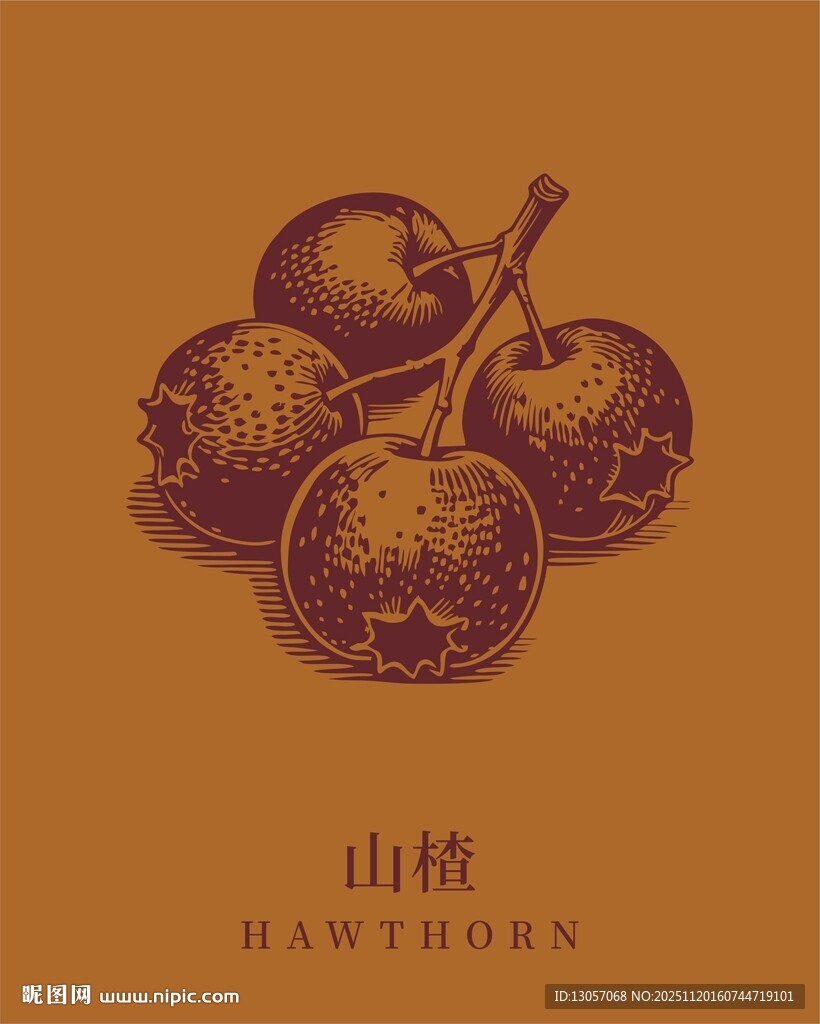 复古风山楂插画