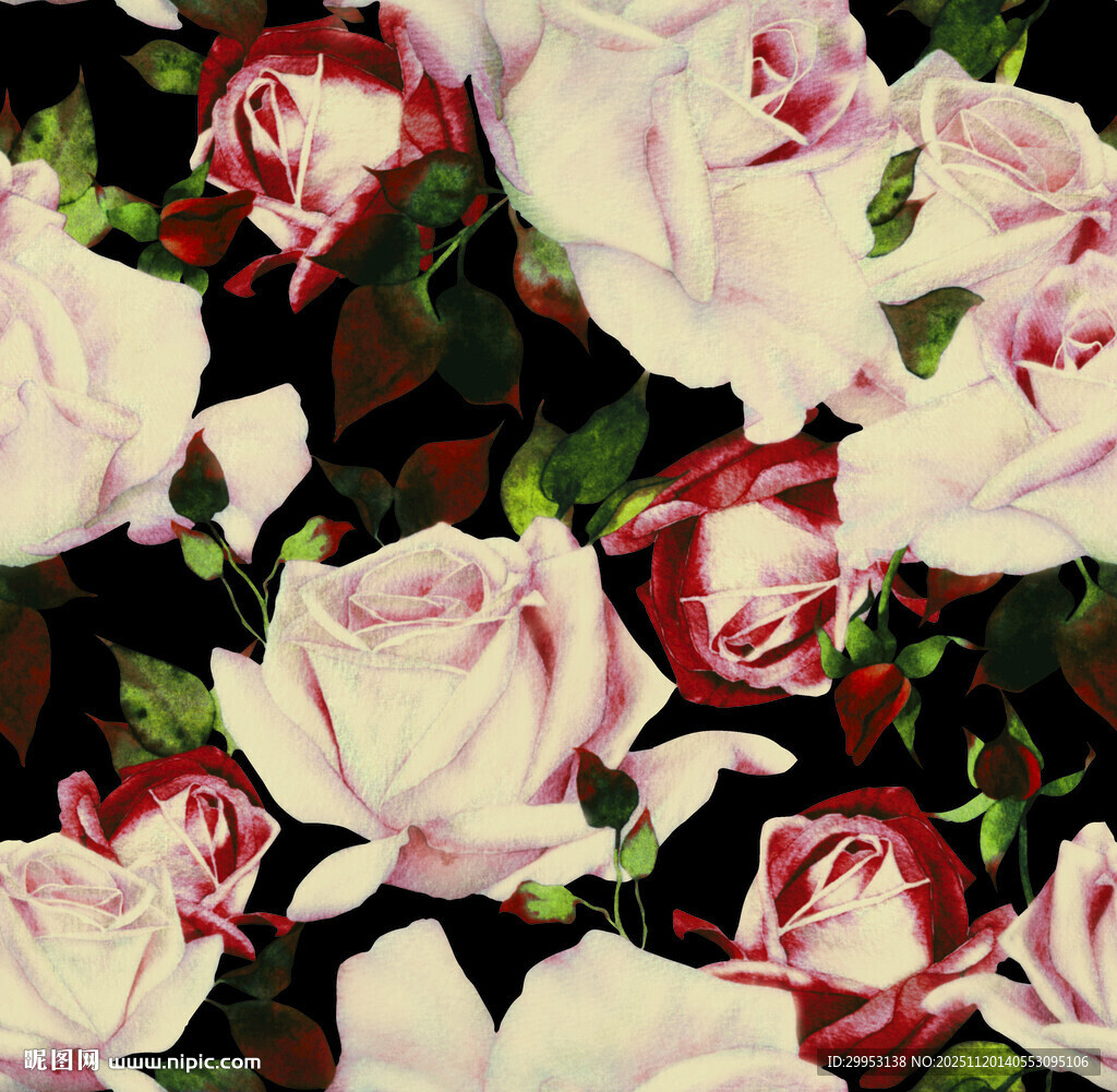 粉色玫瑰花图案