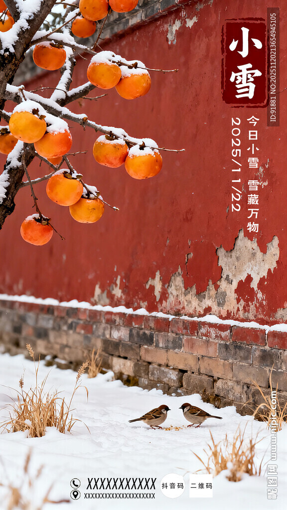 节气小雪时节的红柿红墙美景