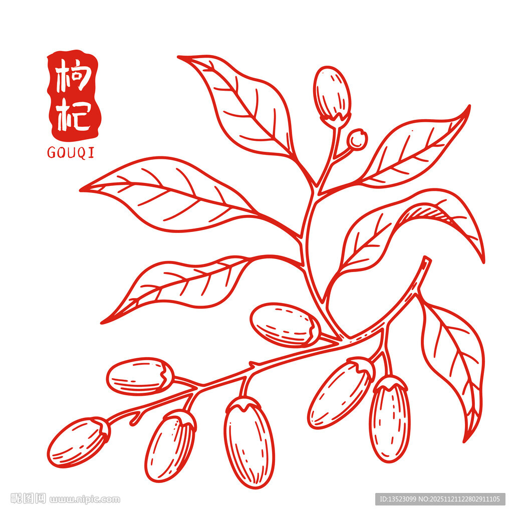 手绘枸杞枝叶果实图