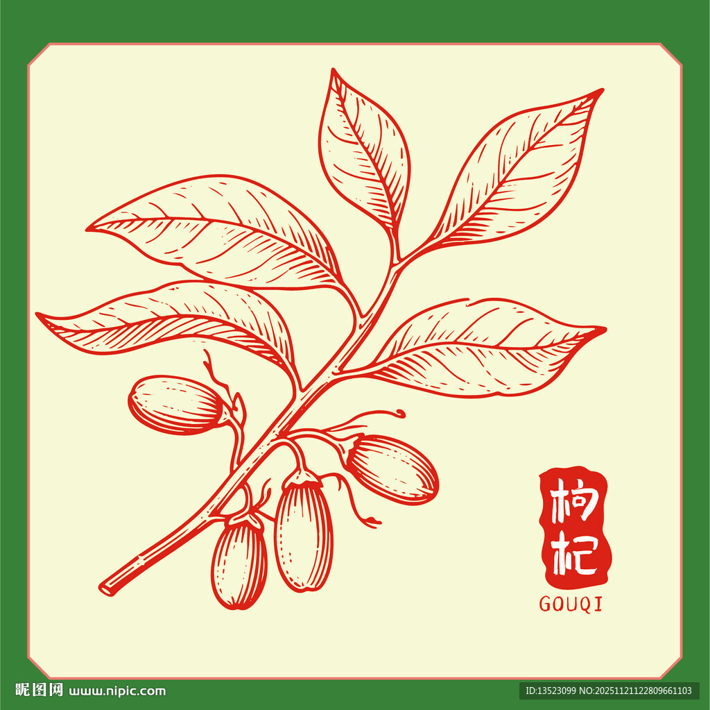 手绘枸杞枝叶图