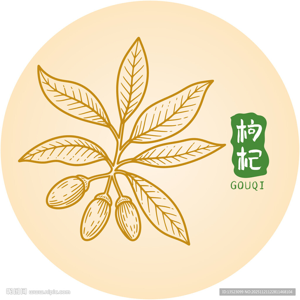 枸杞植物图案设计