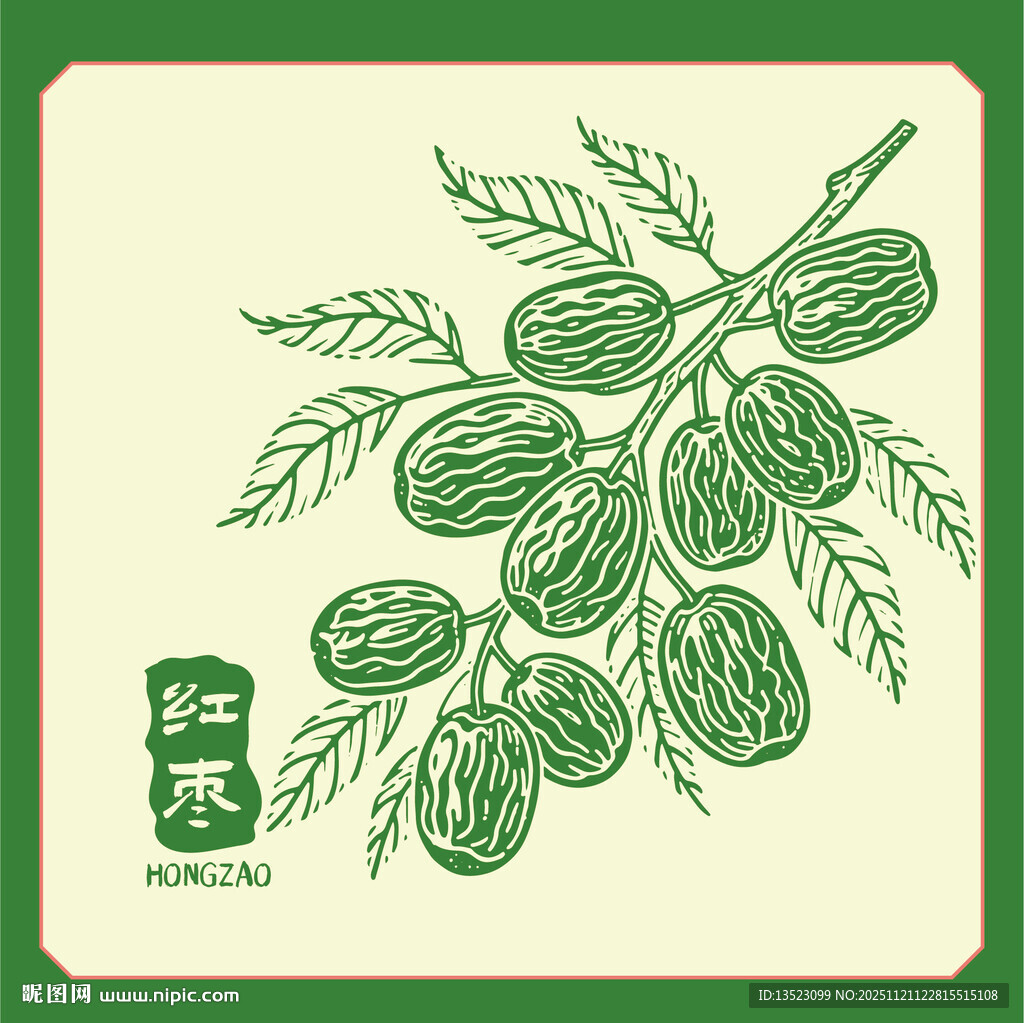 红枣枝叶手绘图案集合果实 