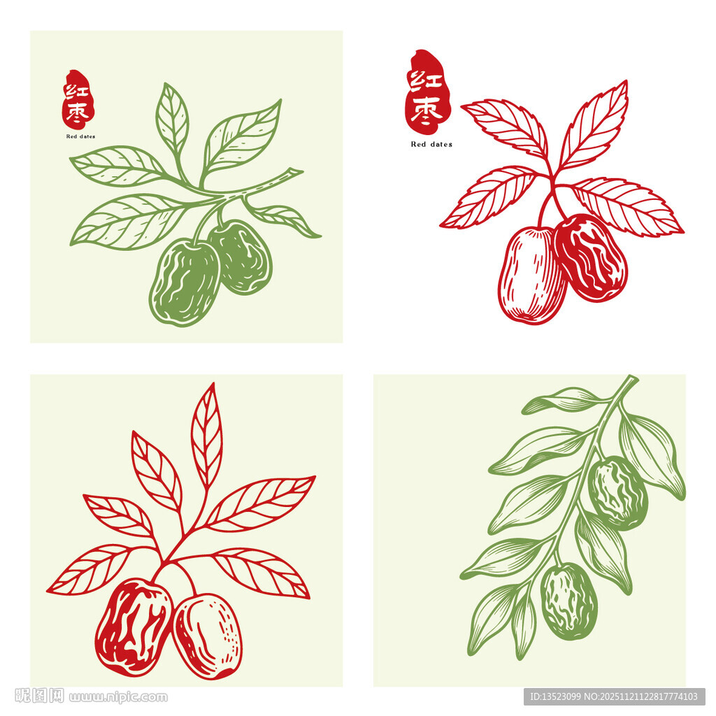 手绘红枣枝叶图案集合