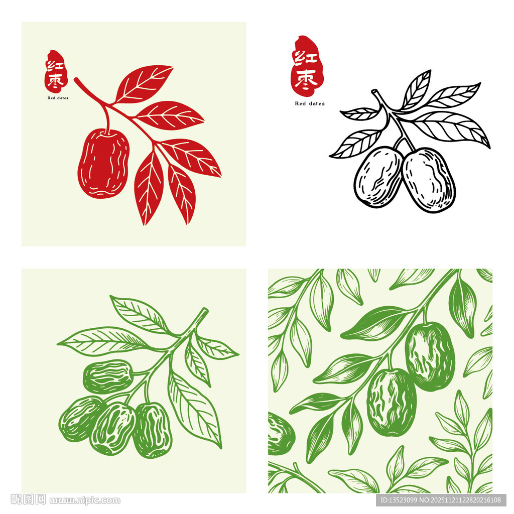 手绘红枣枝叶图案集合