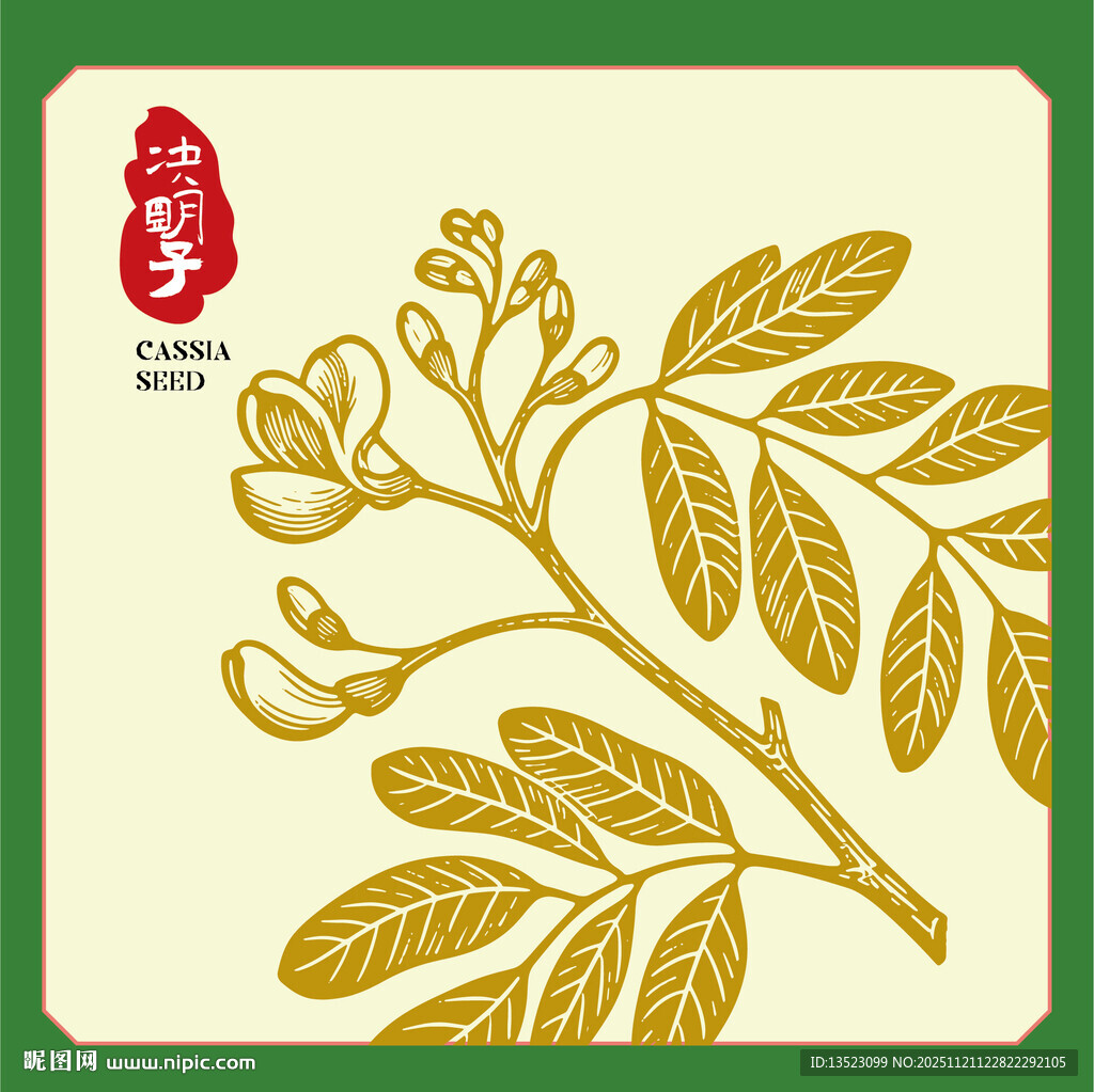 决明子植物手绘插画图案设计
