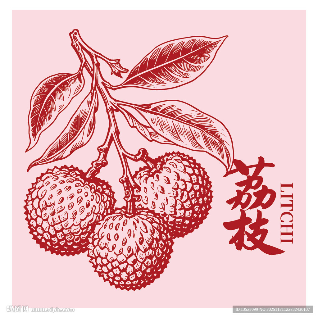 手绘荔枝图