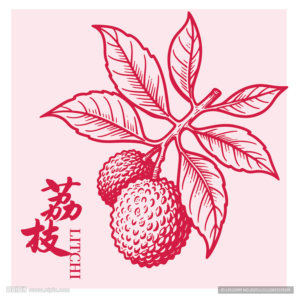 荔枝手绘插画图案