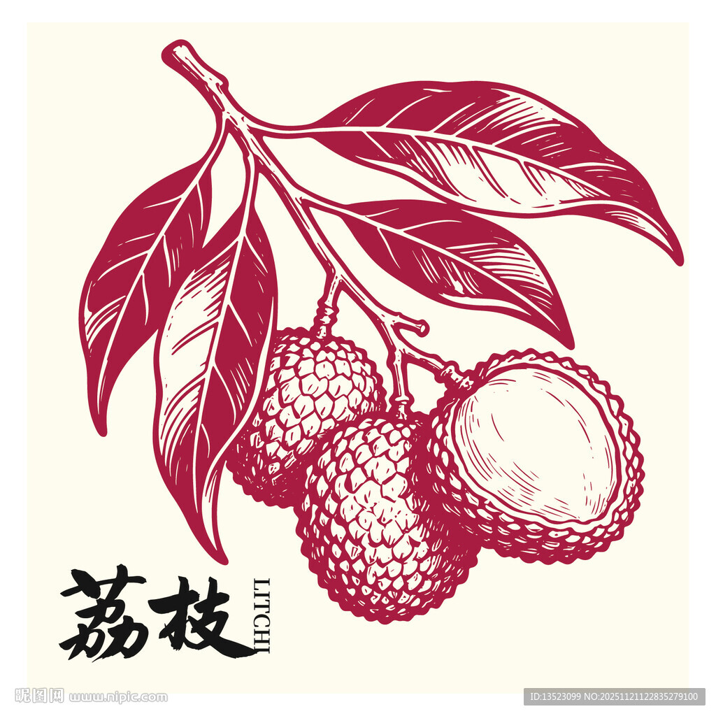 手绘荔枝图