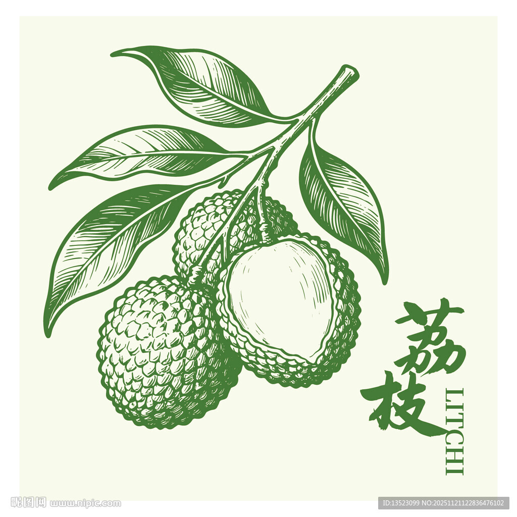 手绘荔枝图海报