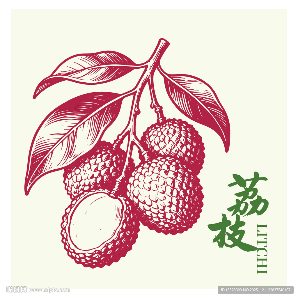 手绘荔枝图