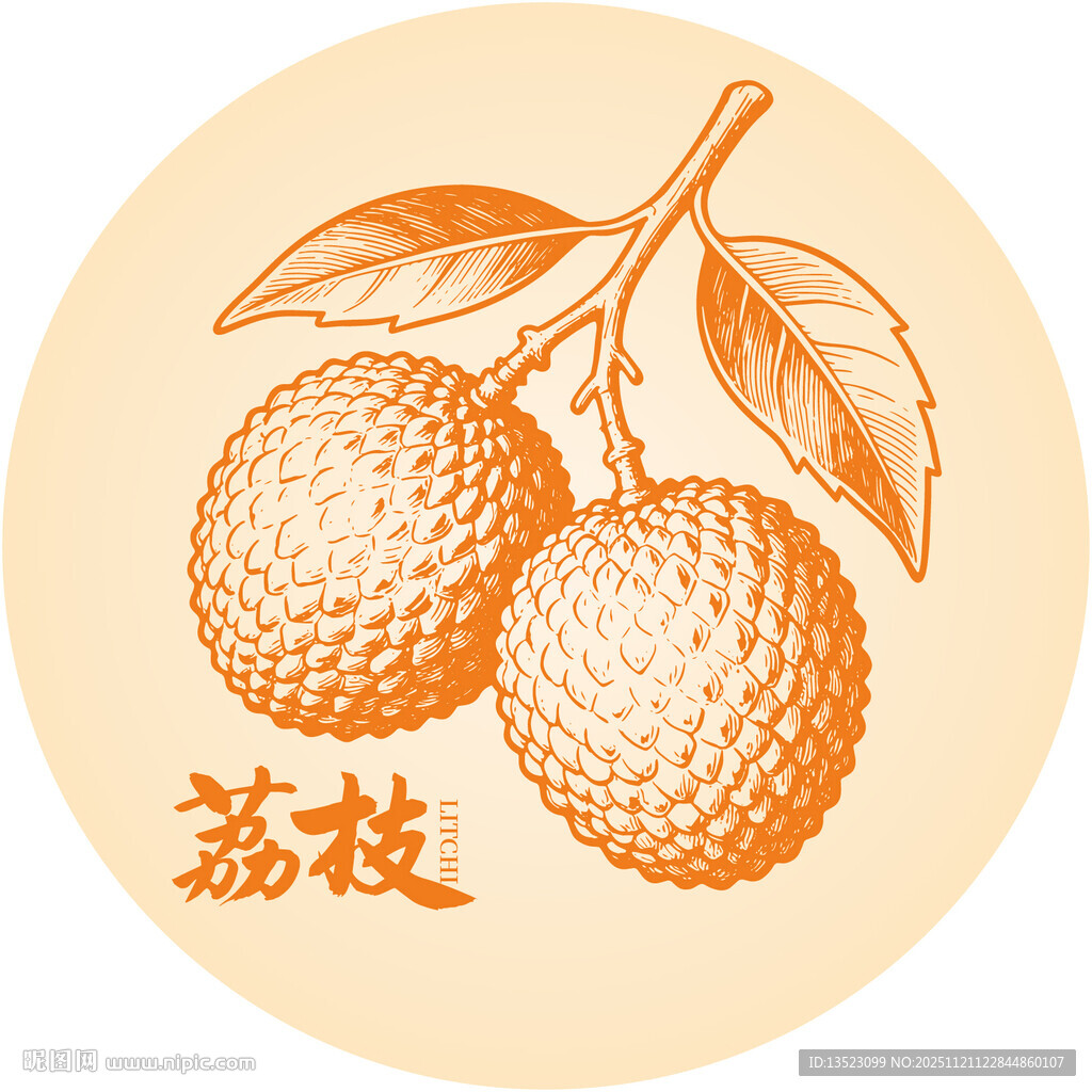 手绘荔枝插画