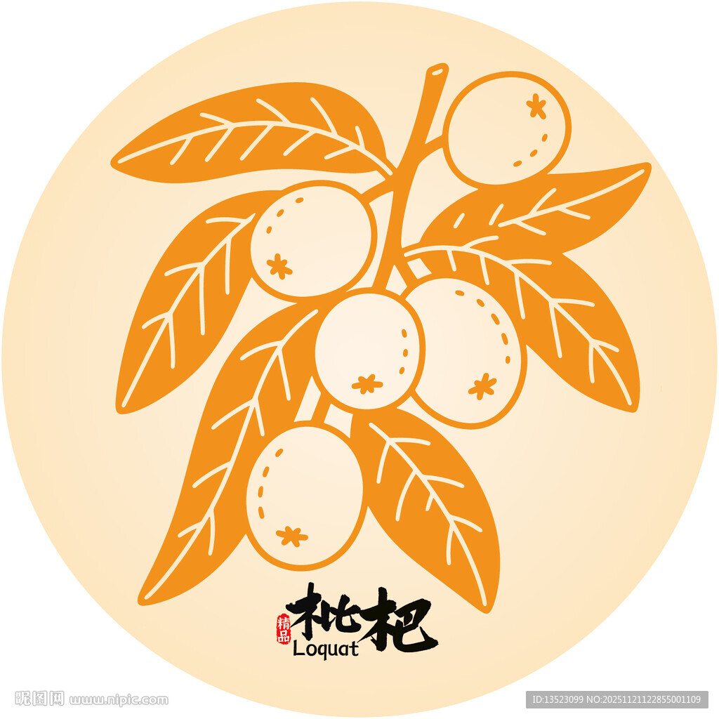 手绘枇杷果实枝叶图案