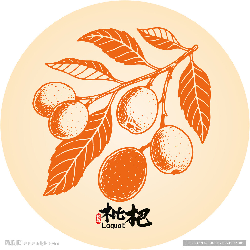 手绘枇杷枝叶图