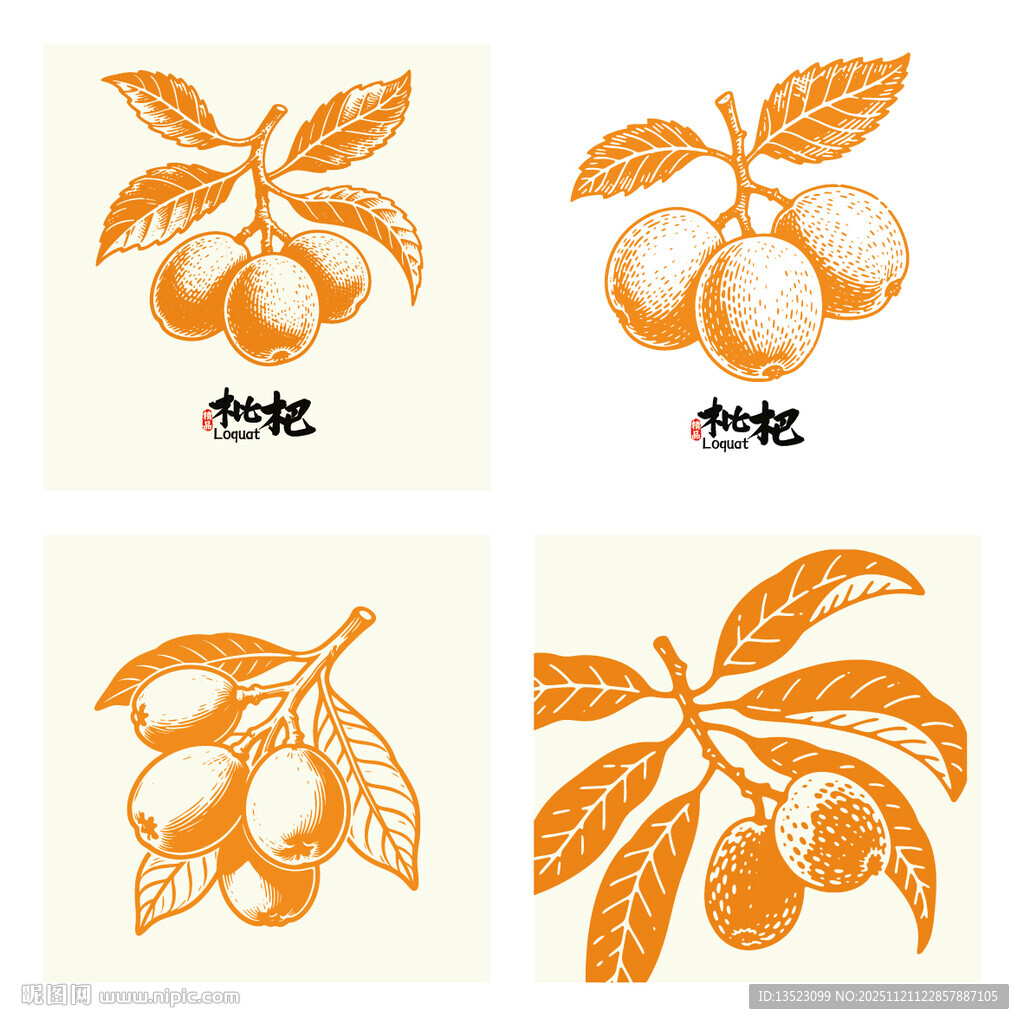 手绘枇杷插画图案