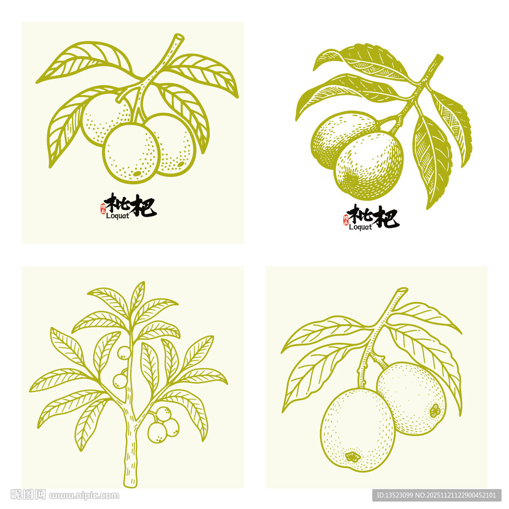 手绘枇杷图案设计素材