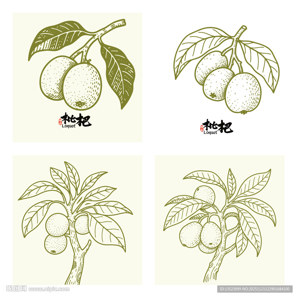 手绘枇杷水果植物插画图案