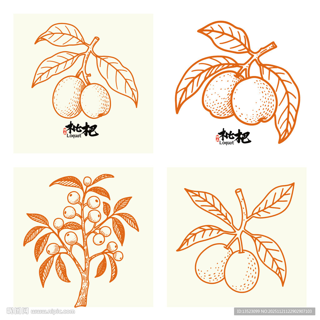 手绘枇杷图案素材