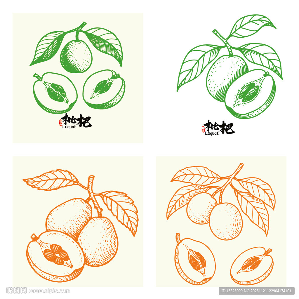 手绘枇杷图案设计
