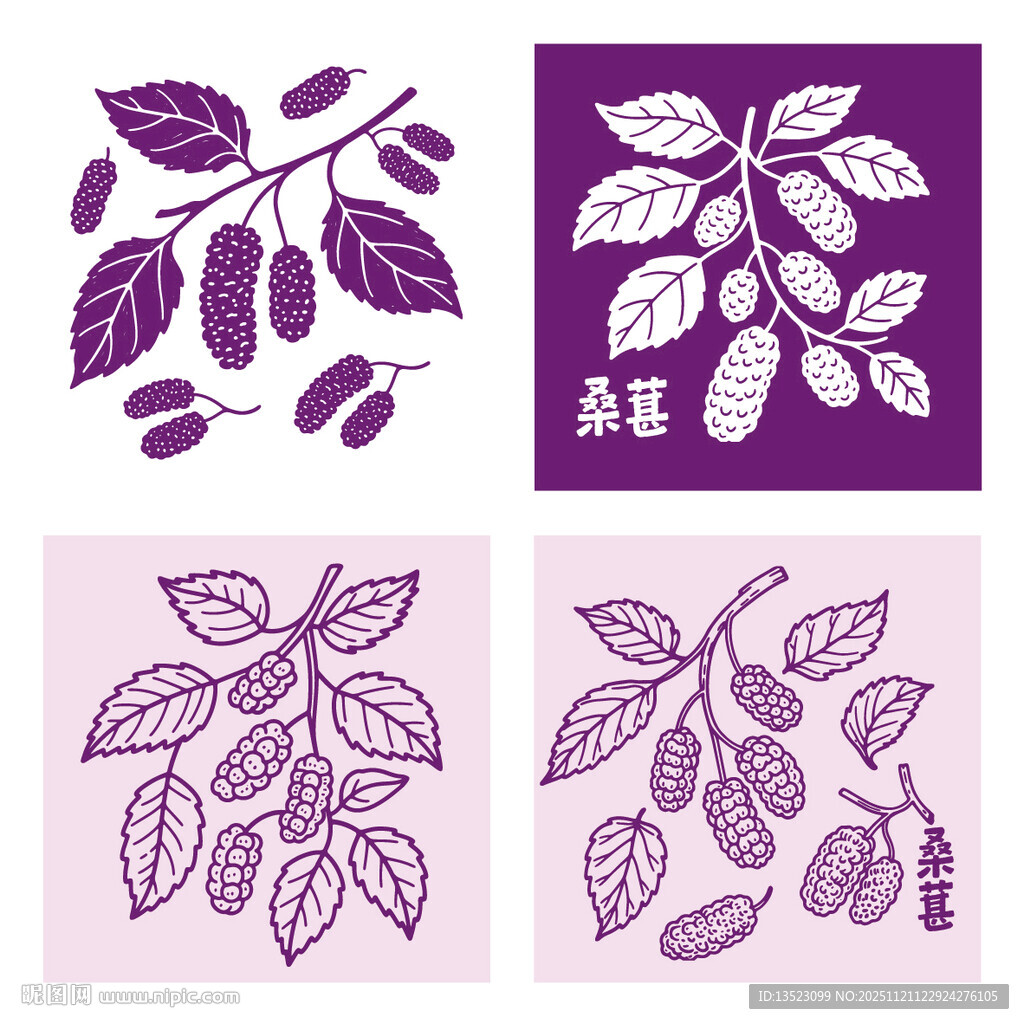 紫色桑葚水果图案设计素材