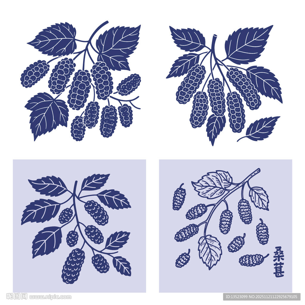 紫色桑葚水果图案设计素材