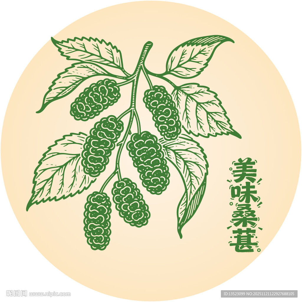 美味桑葚插画
