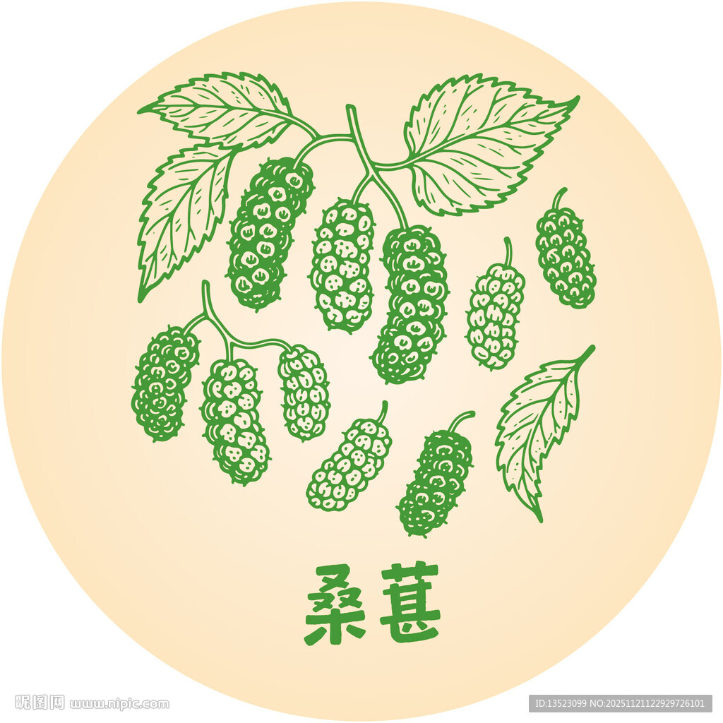 圆形图案中的鲜嫩桑葚