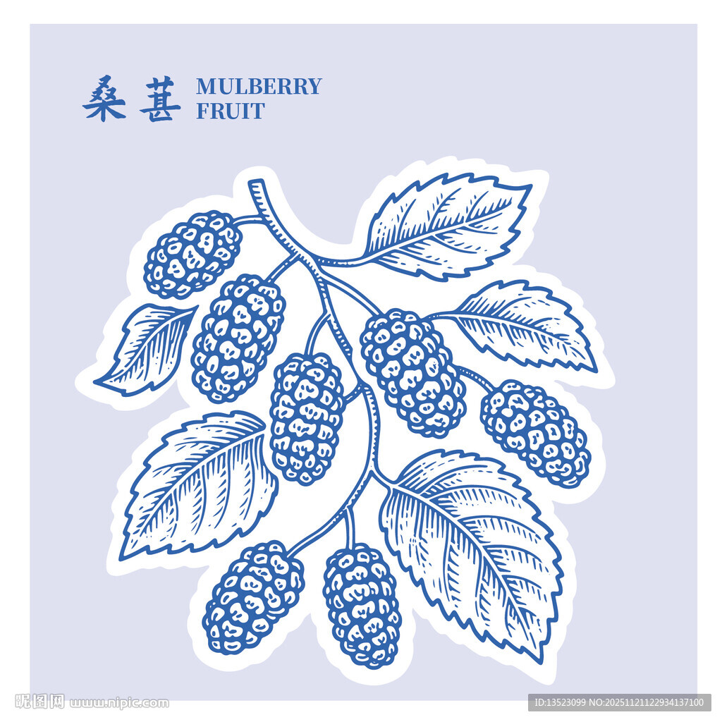 手绘桑葚枝叶图案