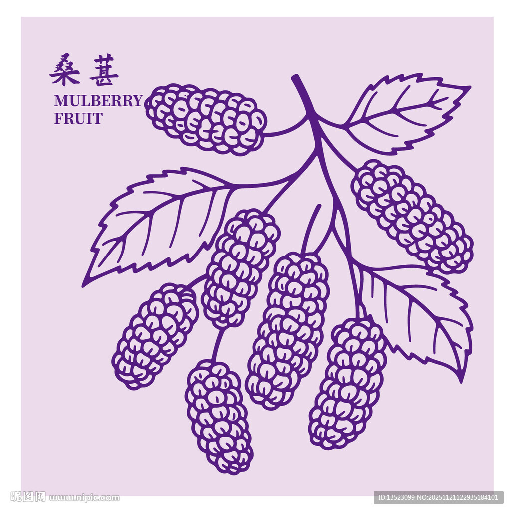 手绘紫色桑葚枝叶图案