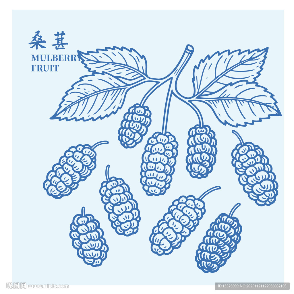 手绘桑葚图案设计素材