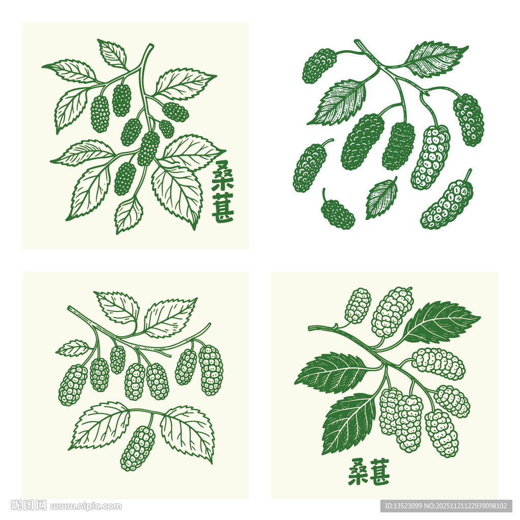 手绘桑葚图案背景设计