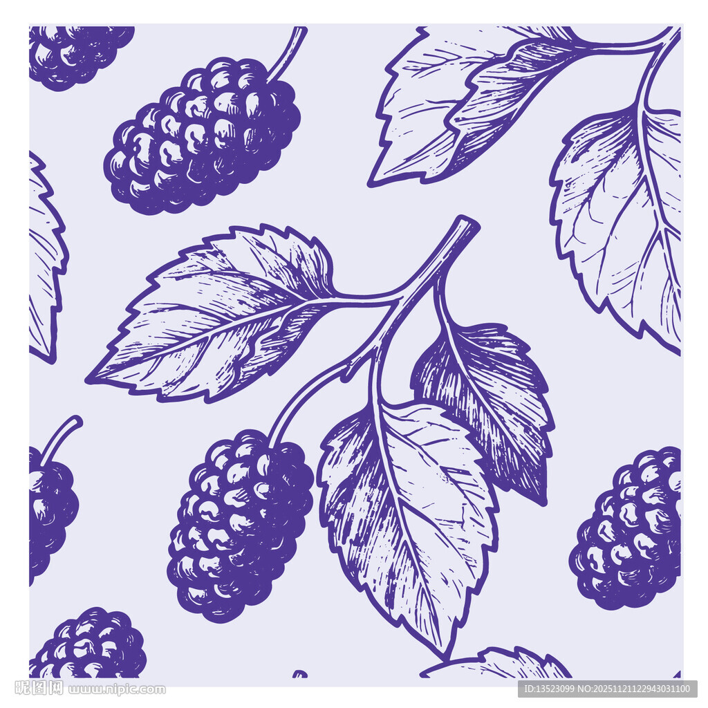 手绘桑葚图案背景设计