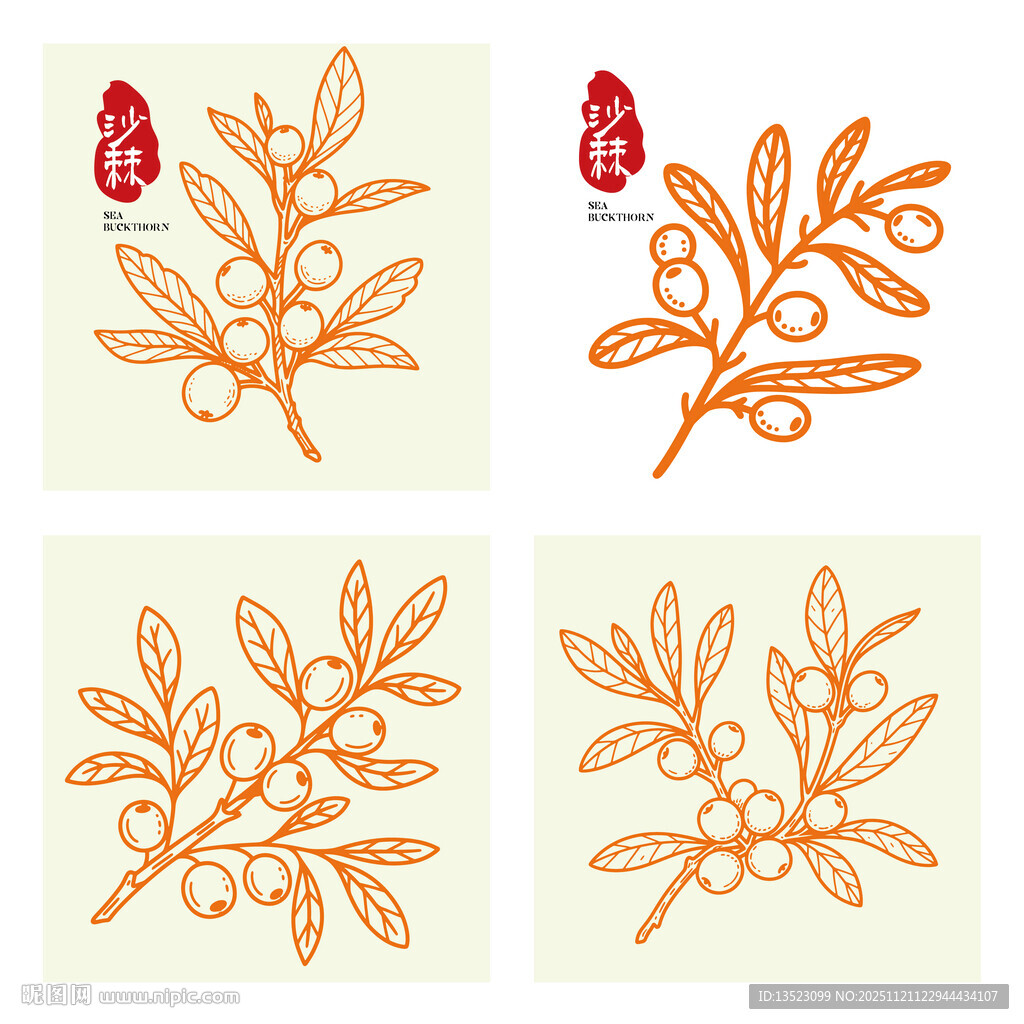 手绘沙棘果包装手绘插画