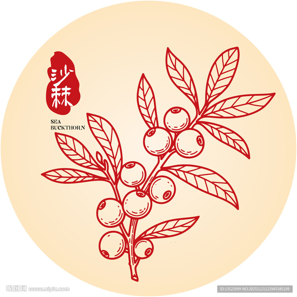 中式手绘沙棘图案设计