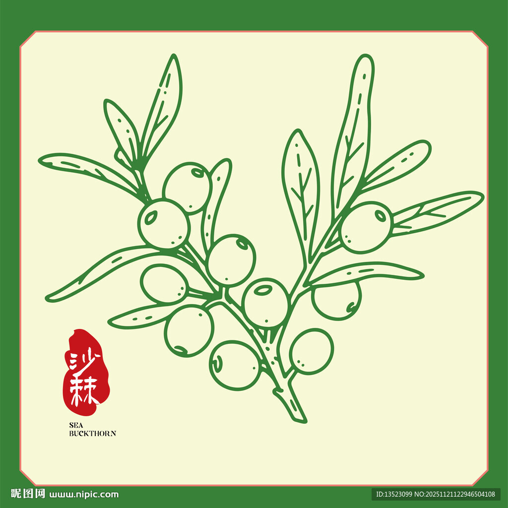 手绘沙棘果包装手绘插画