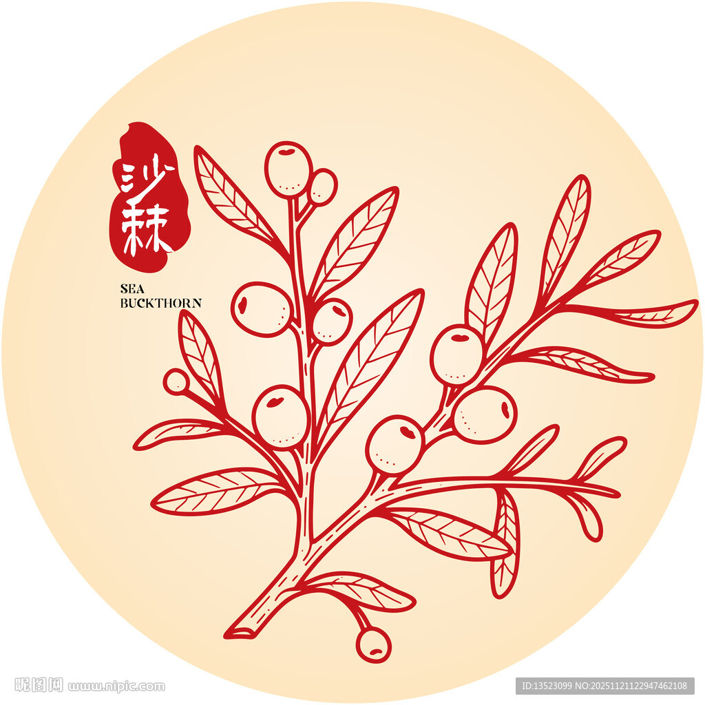 手绘沙棘果包装手绘插画