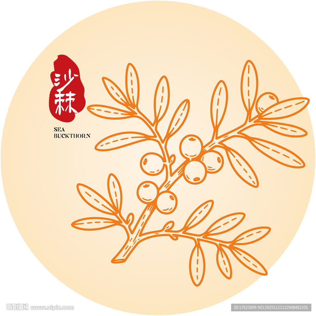 沙棘枝叶图案设计
