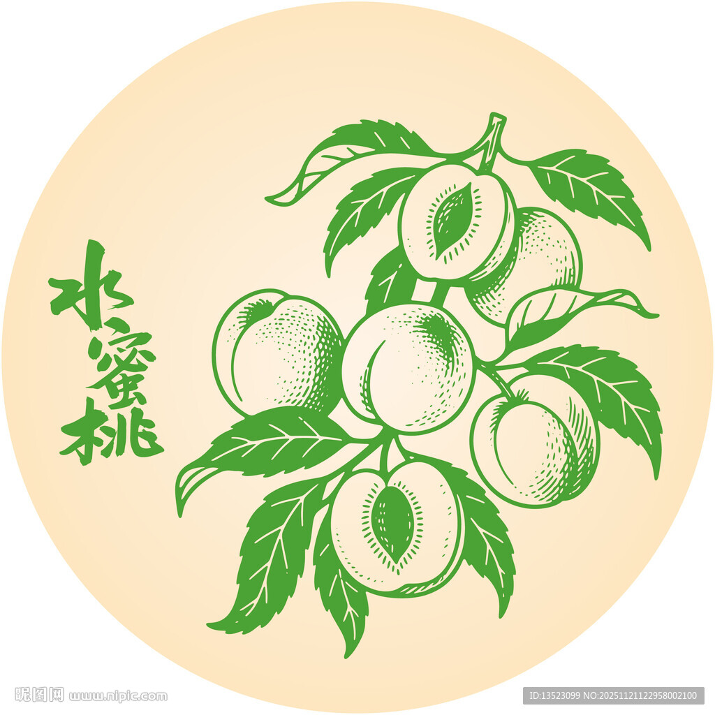 手绘水蜜桃插画