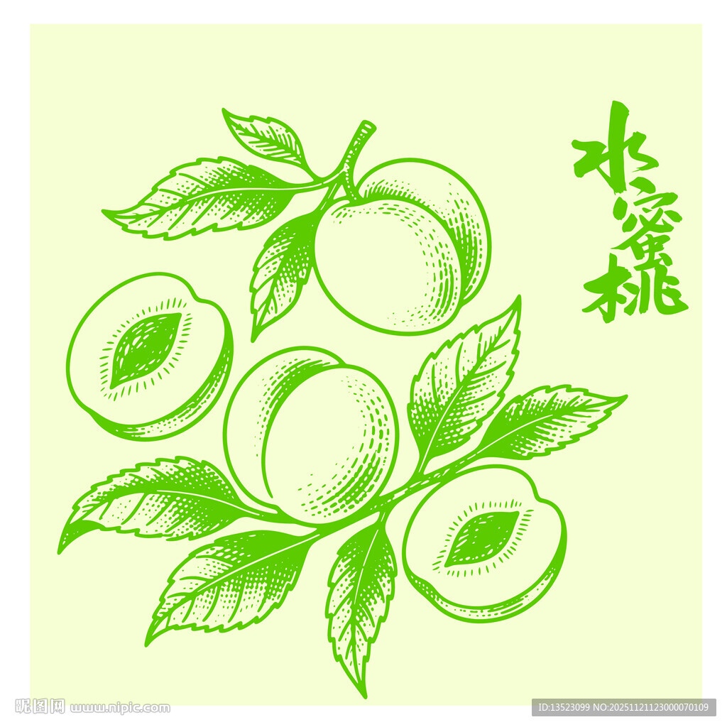 手绘水蜜桃插画