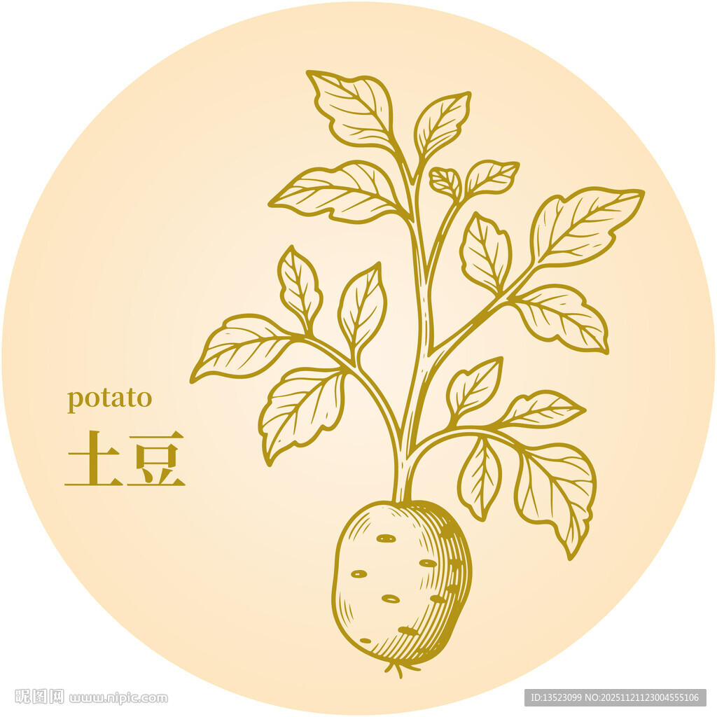 手绘土豆植物图案