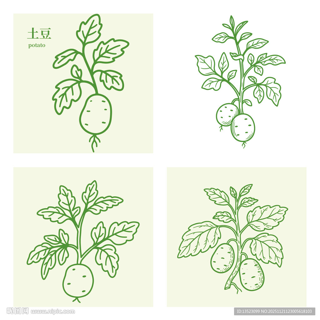 手绘植物土豆果实插画集合
